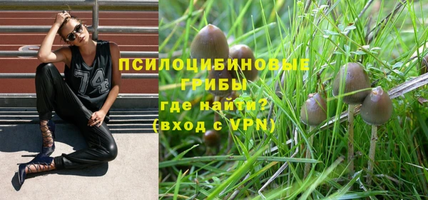 СК Аркадак