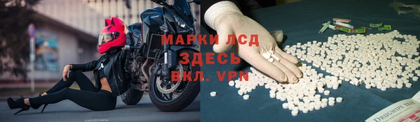 СК Аркадак