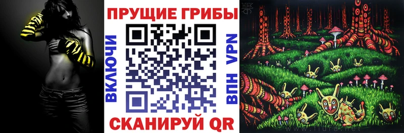 Купить где  Кропоткин  Галлюциногенные грибы MAGIC MUSHROOMS 